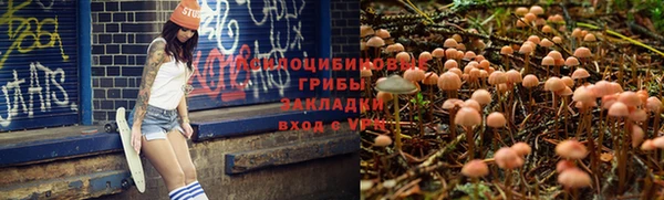 прущий лед Верхний Тагил